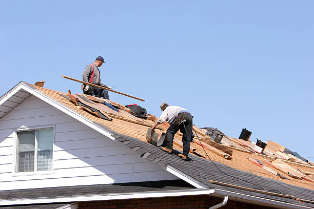 Best Roof Insulation Installation  in Avonia, PA